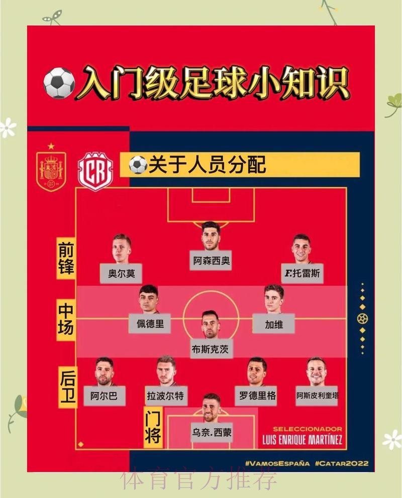 世界杯滚球精选：最新官网入口指南